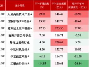 盘点2024百亿股票型基金业绩：超过半数获正收益，大成高新技术产业A涨29.01%排行第一，工银前沿医疗A垫底