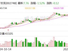 ST世龙：聘任潘妙华为财务总监