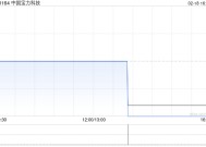 中国宝力科技拟按“1供4”基准进行供股