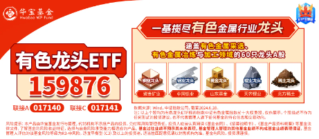 逆市涨超2%！有色龙头ETF（159876）霸居全市场ETF涨幅榜前十！铜、铝、黄金携手狂飙，紫金矿业涨逾4%