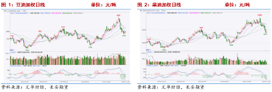 长安期货2025油脂年报：三江分流映波澜 油脂行吟风云间