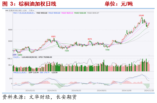 长安期货2025油脂年报：三江分流映波澜 油脂行吟风云间