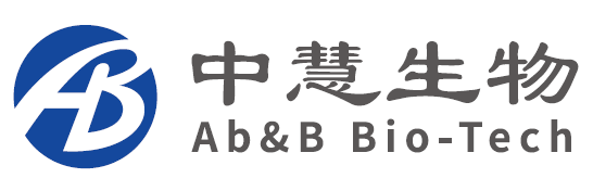 中慧生物-B来自江苏泰州 拟赴香港上市 中信证券、招银国际联席保荐